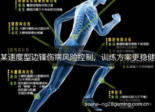 某速度型边锋伤病风险控制，训练方案更稳健