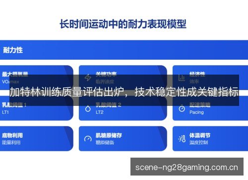 加特林训练质量评估出炉，技术稳定性成关键指标